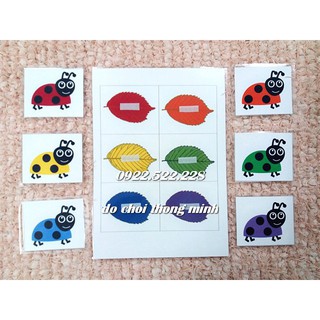 HỌC LIỆU CHO BÉ IC018 - Matching bọ rùa mầu sắc