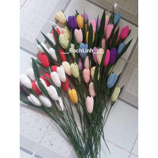 Hoa tulip giấy nhún