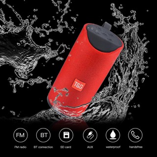 Loa Bluetooth TG-113