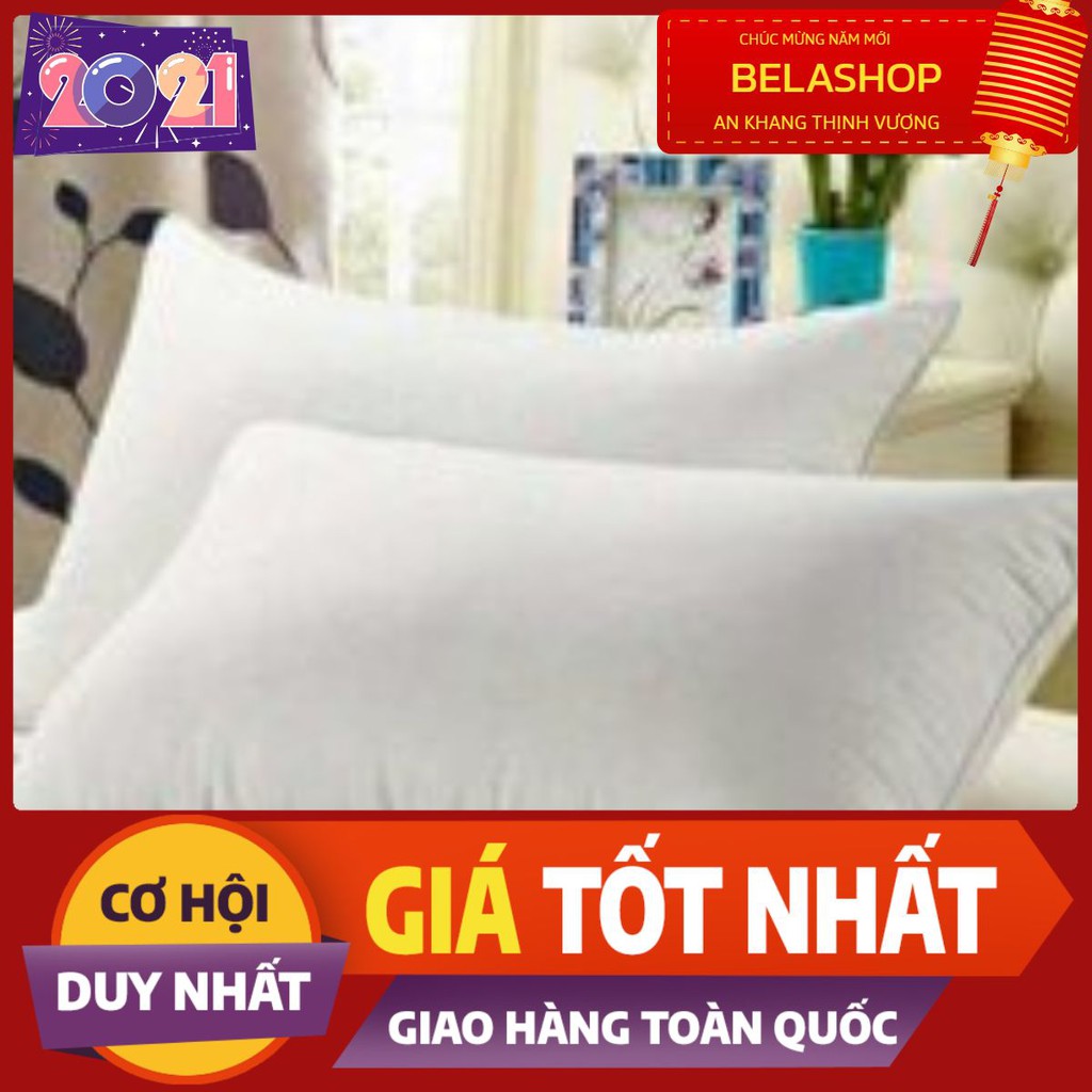 Combo 2 ruột gối bông hạt cao cấp