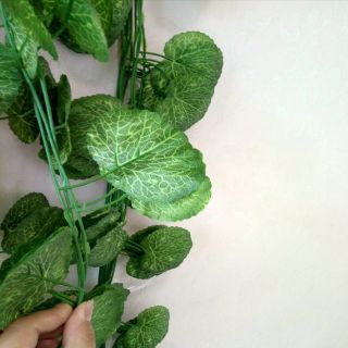 Lá giả, sợi dây leo hải đường dài 2.3m 80 lá