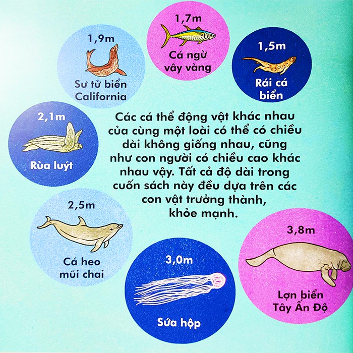 Sách cho bé - Cá Voi Dài Bao Nhiêu - NXB Kim Đồng