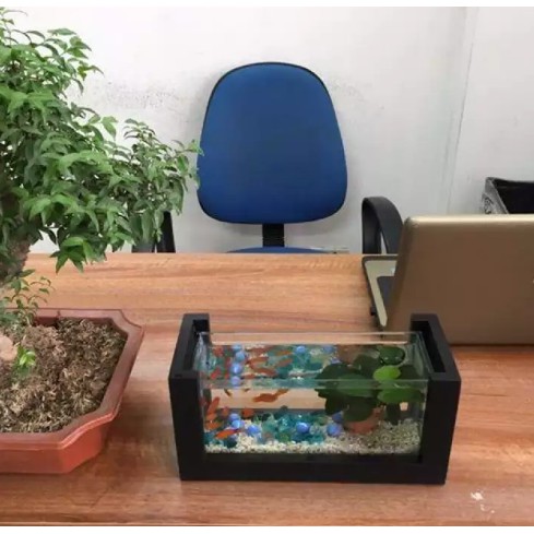 Bể cá mini văn phòng (Tặng kèm cây nhựa + đá rải nền)