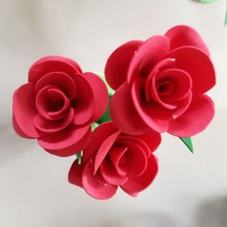 Hoa góc đô mầm non