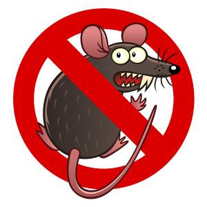 Chai xịt chống chuột 3M Rodent Repellant Coating 250glehienshop