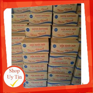 Đệm nước mát thiên thanh size 75cm x 90cm