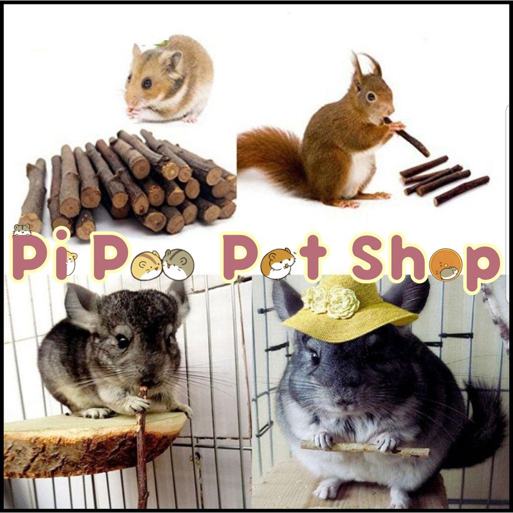 Cành táo mài răng cho Hamster, Thỏ , Bọ , Gerbil, Đuôi Mập, Chinchilla