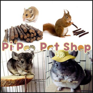[Mã PETHOT giảm 8% đơn 199K] Cành táo mài răng cho Hamster, Thỏ , Bọ , Gerbil, Đuôi Mập, Chinchilla