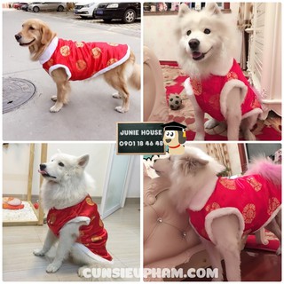 Áo Tết cho chó lớn