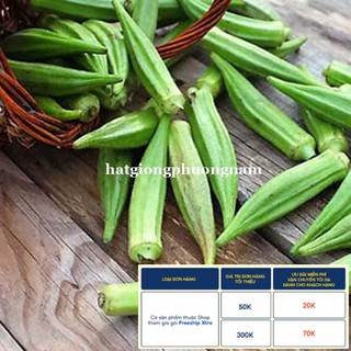 20GR - HẠT GIỐNG ĐẬU BẮP