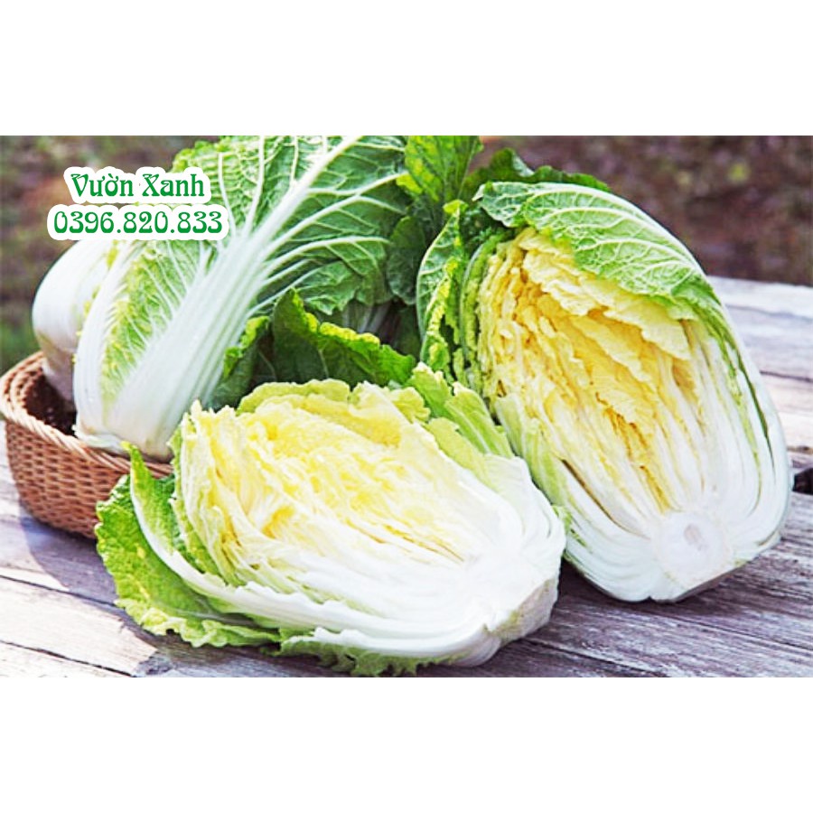 ( HOT ) Hạt giống bắp cải thảo F1 chịu nhiệt 1gr