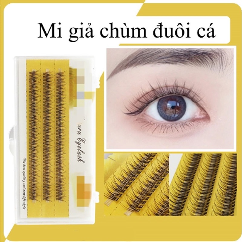 Lông mi giả chùm đuôi cá Nesura Hàn Quốc, mi giả tự nối dạng chùm Duoica/10D/0.07/C, độ dày 0.07, độ