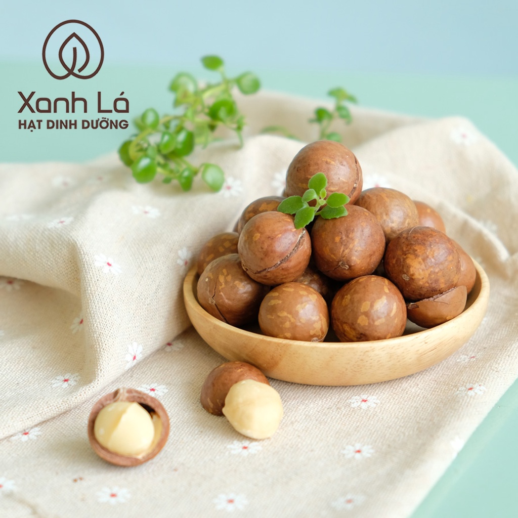 Hạt Macca SẠCH Đăk Lăk sấy nứt vỏ LOẠI 1 VỤ MỚI hàng công ty đạt VSATTP Xanh Lá