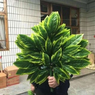 Cành lá kim tứ làm cây cổ thụ 12 cành