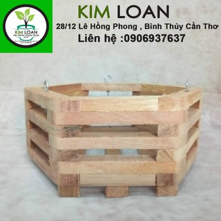 Combo 2 chậu lan gỗ lục giác 21x10cm