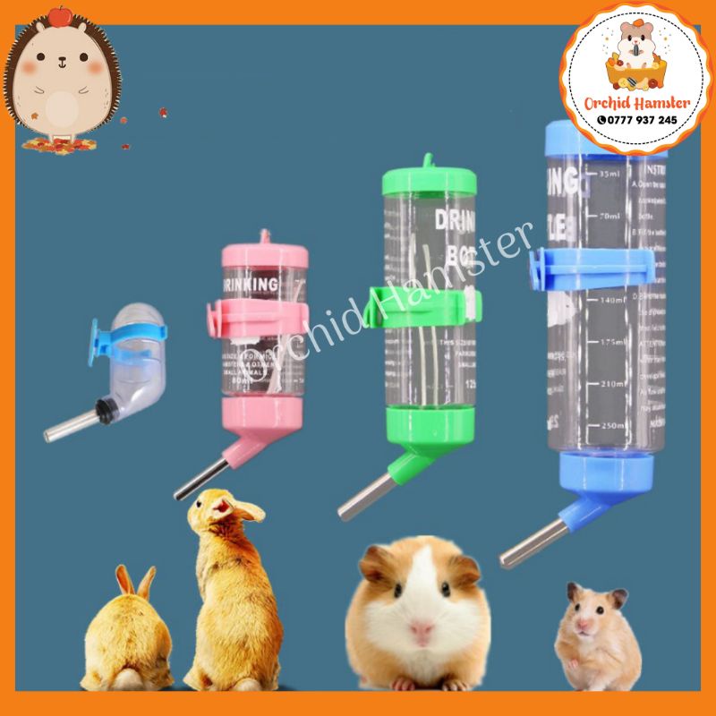 Bình Nước Bi và Đế BÌnh Hamster,Thỏ, Sóc..v..v