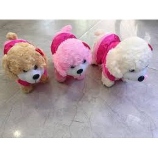 Chó biết đi biết hát
