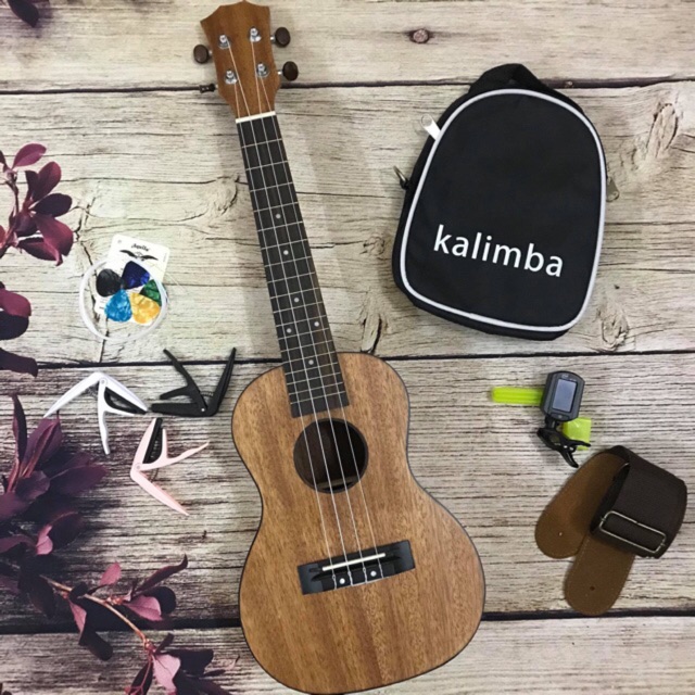 ẢNH THẬT - ĐÀN UKULELE CONCERT GỖ VIỀN