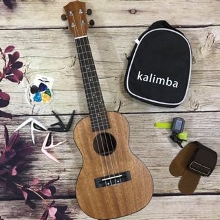 ẢNH THẬT - ĐÀN UKULELE CONCERT GỖ VIỀN