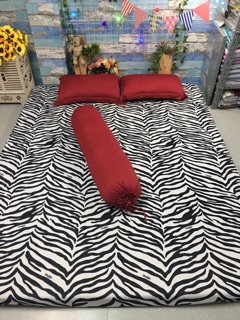 MẪU MỚI- TRỌN BỘ DRAP THUN VẰN PHỐI MÀU (4 MÓN)