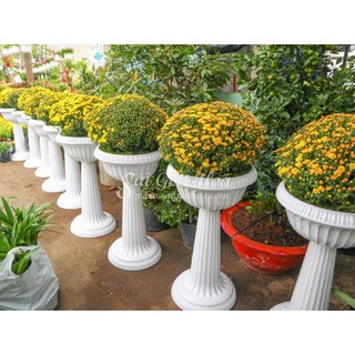 Chậu nhựa chân đế cao