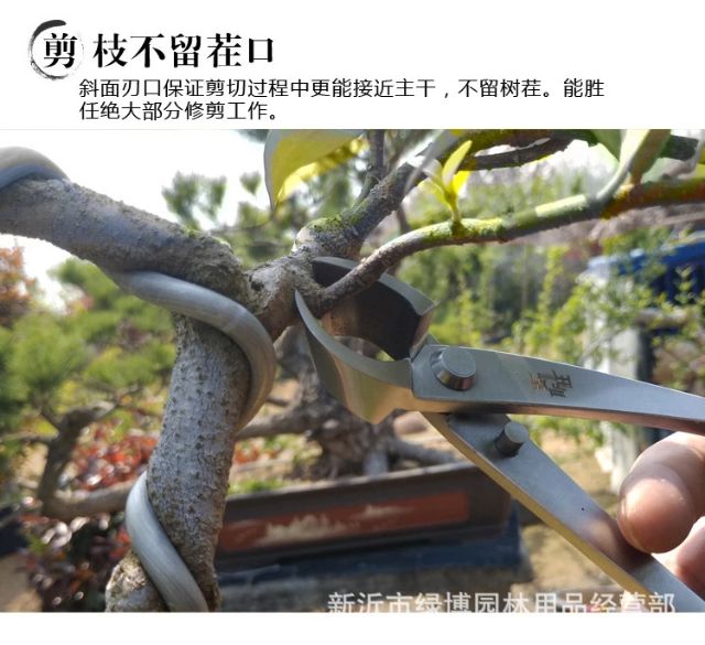 Cạp đa năng 2 công dụng cạp xéo bonsai kích thước 21cm