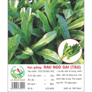 Hạt giống ngò gai 2g