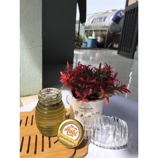 Mật ong Hoa Bạc Hà Hobi 100ml [tự nhiên]