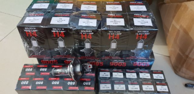 Bóng đèn pha, bóng đèn gầm ô tô Halogen hàn quốc