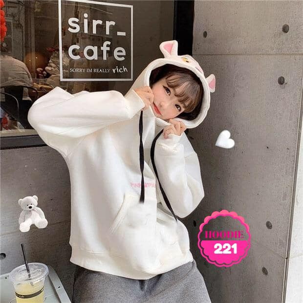 ÁO HOODIE BÁO HỒNG SIÊU CƯNG  AHD221 ⚡FREESHIP⚡100% ẢNH THẬT⚡NN CHUYÊN SỈ - NN STORE