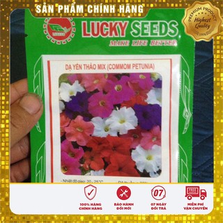 HẠT GIỐNG HOA DẠ YẾN THẢO MIX (COMMOM PETINIA)