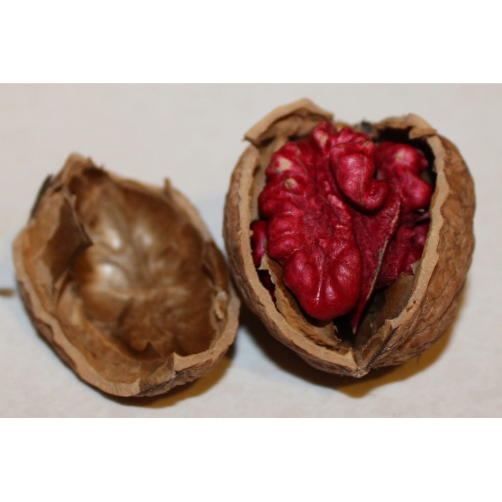 Quả óc chó đỏ nhập khẩu Mỹ 500G