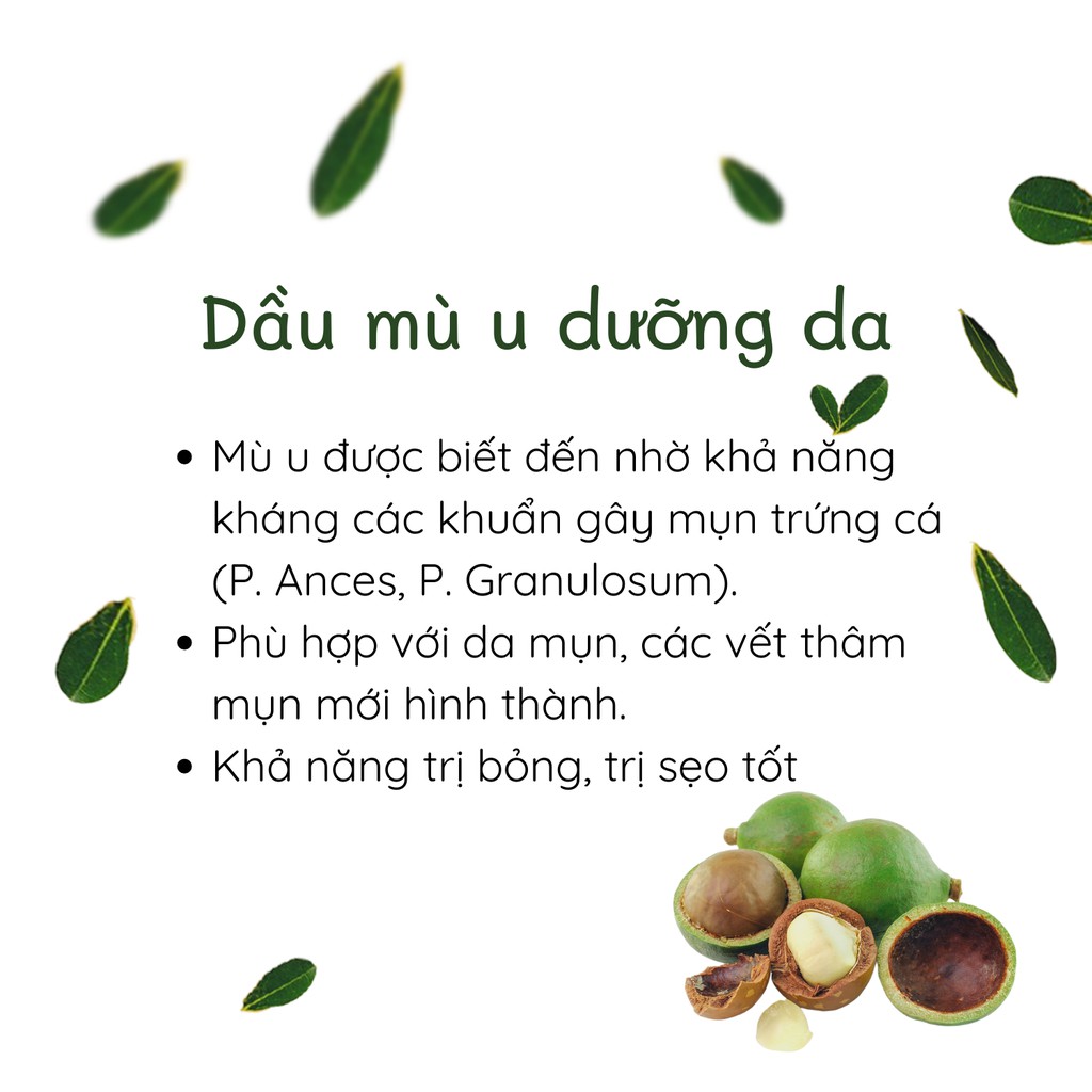 Chai Lăn Dầu Mù U nguyên chất làm giảm rạn da sẹo mụn, lành vết bỏng Purevess 10ml