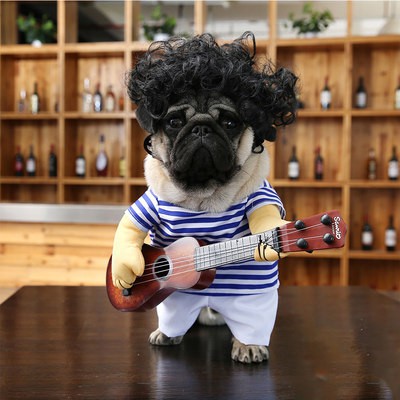Lắc cùng một đoạn đàn guitar chó quần áo mùa hè mỏng mùa thu trang phục vui vẻ biến thành Mèo Con Quái Vật trang phục th