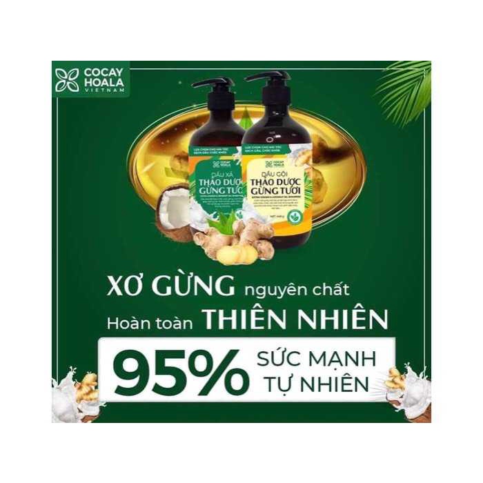 DẦU GỘI XẢ GỪNG DỪA