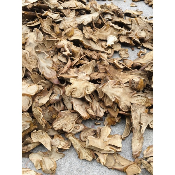 Cây Cẩu Tích  khô 1kg hàng chuẩn loại 1 Dược liệu Tây Bắc