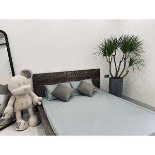Bộ drap cotton lụa trơn 1 màu