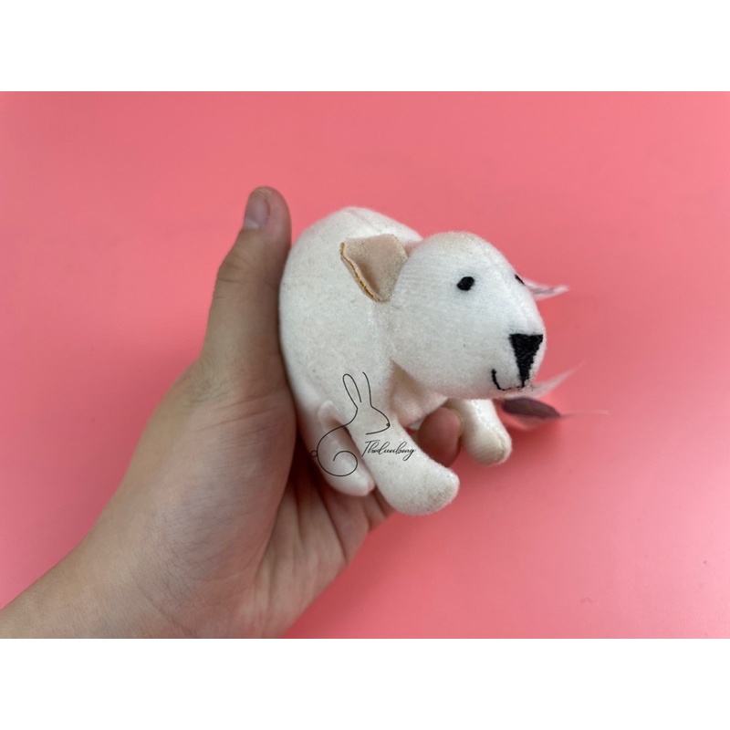 Gấu bông mini nhồi bông cho bé - Gấu bông si thanh lý - Gấu bông giá rẻ
