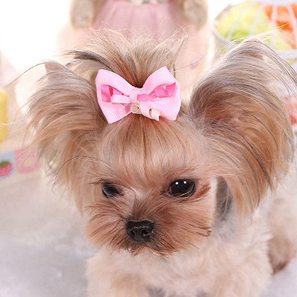 GIOVANNI Kẹp Nơ Nhiều Màu Hóa Trang Cho Thú Cưng