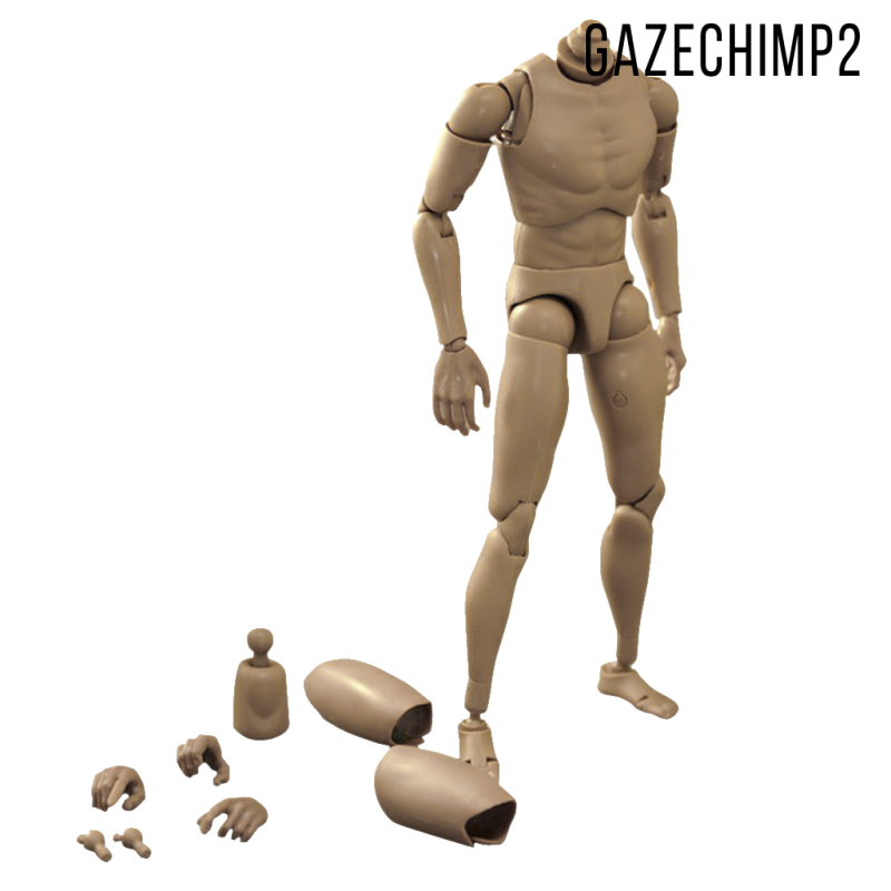 Mô Hình Cơ Thể Người Nam 1 / 6 Gazechimp2 Ttm-18 / 19