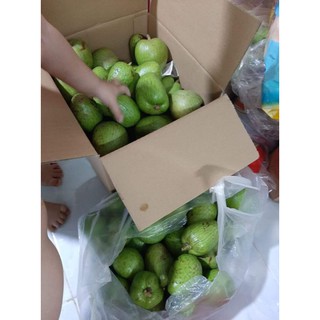 Trái bình bát tươi { quả bình bát} 1kg
