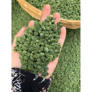 250g - 500g nụ tam thất bao tử