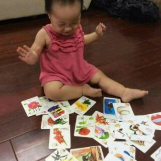 Bộ thẻ flash card 16 chủ đề