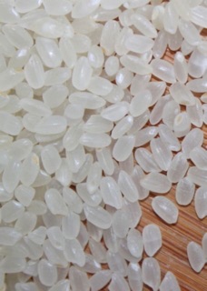 Gạo séng cù tú lệ