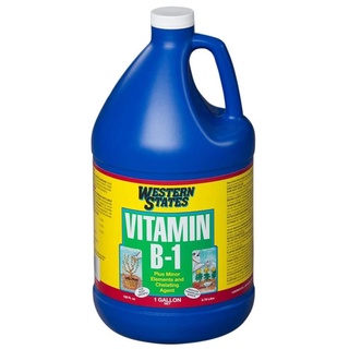 Phân bón Vitamin B1 Western States (can 3,8 lit) - nhập khẩu mỹ