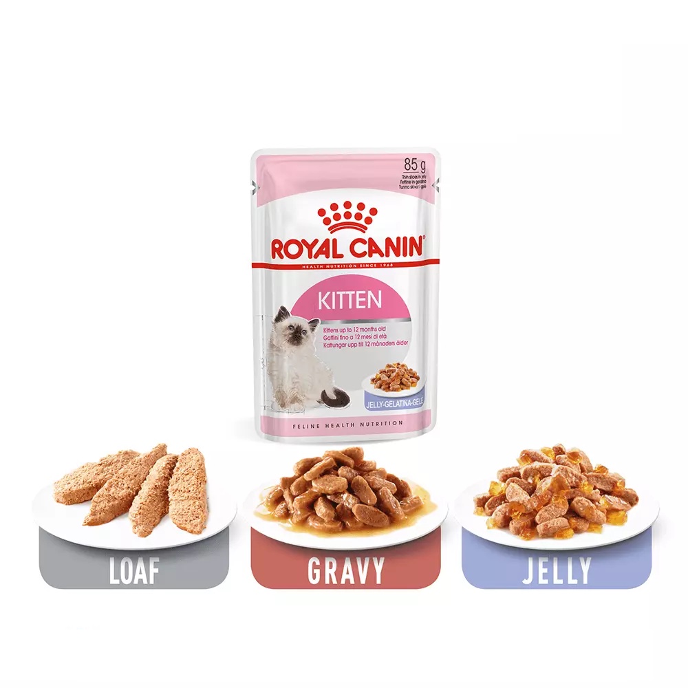 Pate cho mèo Royal Canin Kitten, Thức ăn ướt cho mèo con từ 2 tháng tuổi túi 85gr