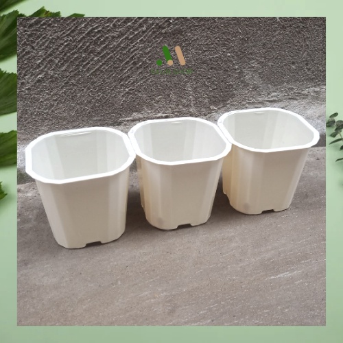 Chậu nhựa vuông cứng mini màu trắng trồng sen đá xương rồng size 11x10  tiện lợị tại AXUNSHOP giá xưởng