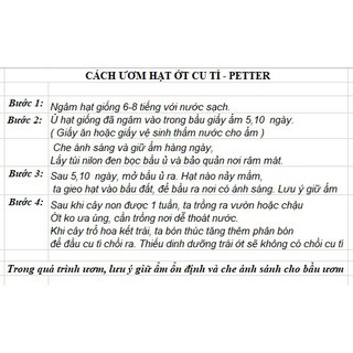Bán sỉ Hạt giống ớt cu tý - ớt peter - F1 gói 10 hạt xuất xứ Đức hàng nhập khẩu, hàng chính hãng.