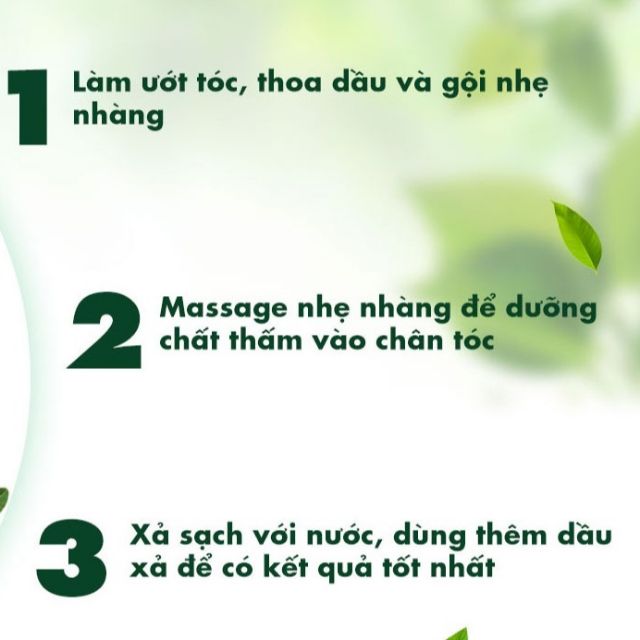 Bộ Đôi Gội - Xả Fresh Organic Tea Tree Oil Giảm Và Trị Gàu Sau 7 Ngày Sử dụng (Dầu Gội 500gr + Dầu Xả 180gr)