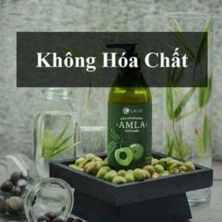 Bộ dầu gội ngăn rụng tóc Amla